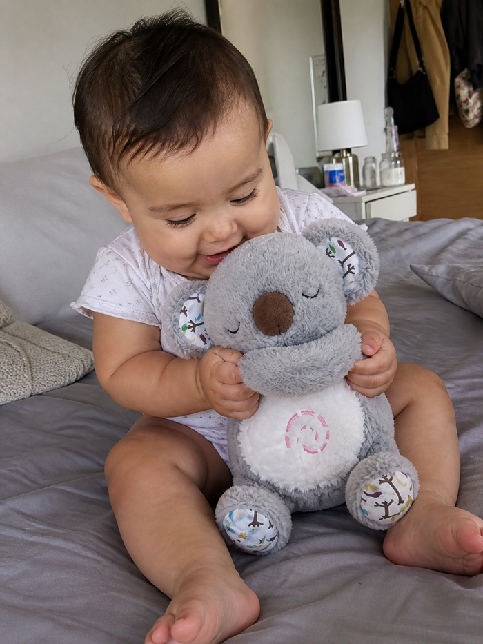 Cliente Koalmi